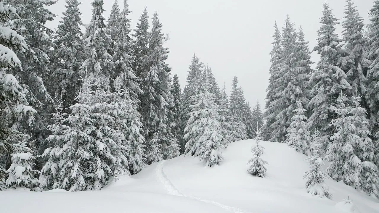 Atkı bereleri çıkartın: Kar geri geliyor! O iller sabaha bembeyaz uyanacak
