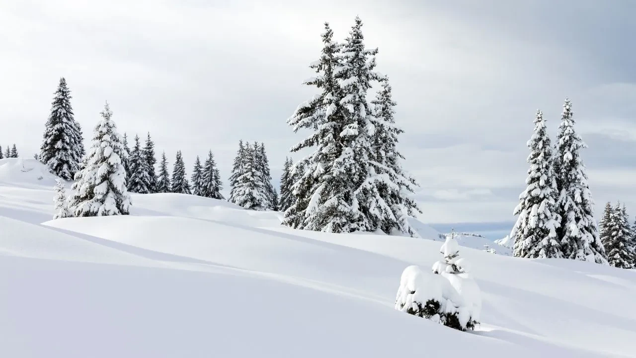 Atkı bereleri çıkartın: Kar geri geliyor! O iller sabaha bembeyaz uyanacak