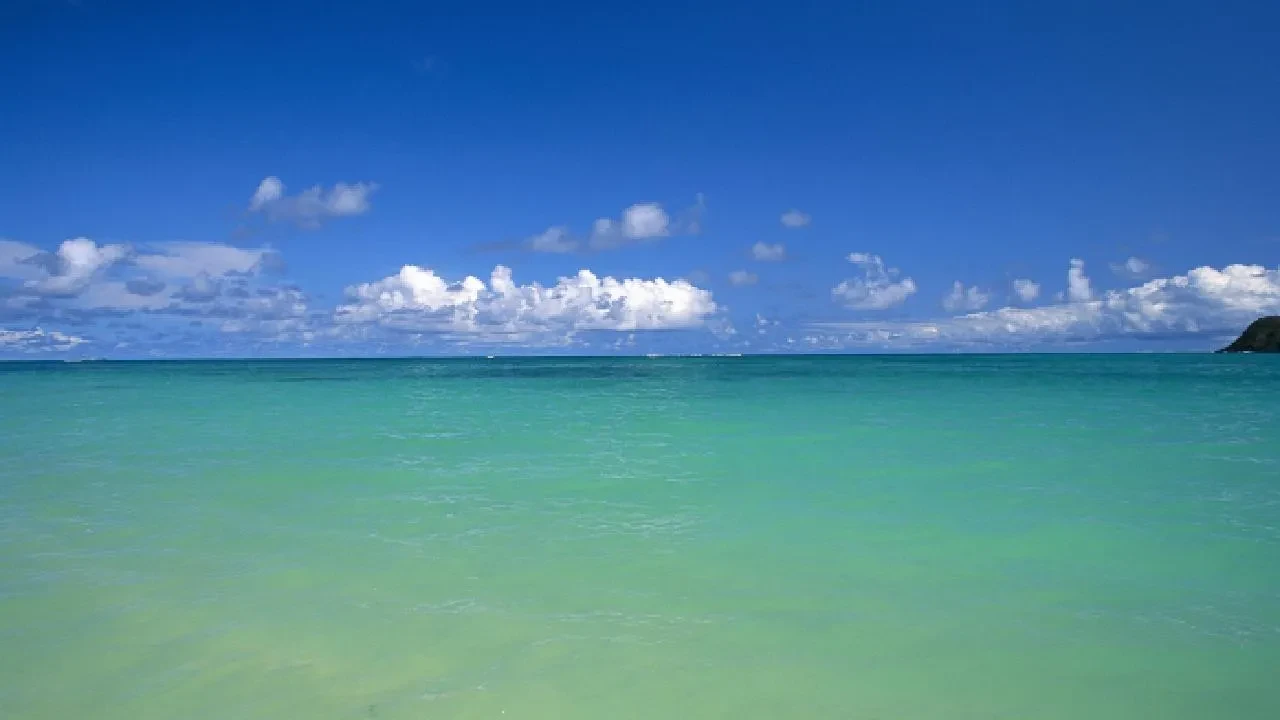 Bilim insanlarından şaşırtan araştırma: Okyanusların rengi değişti!