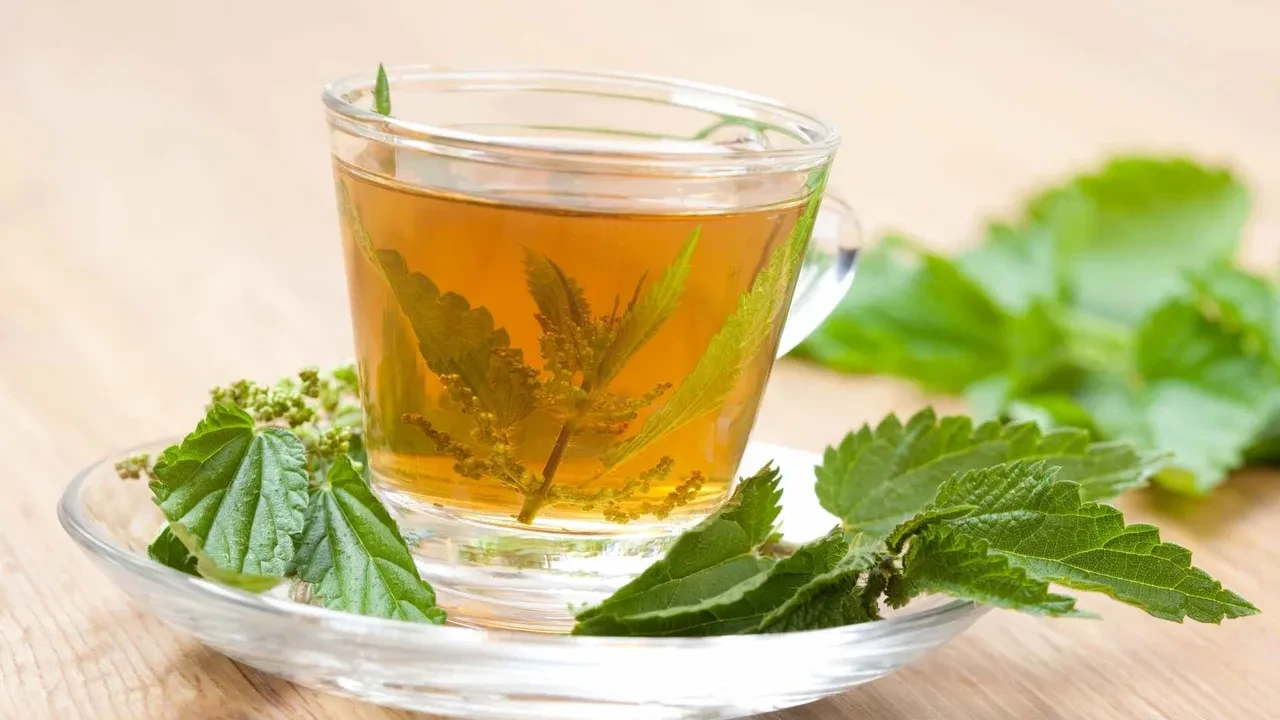 Bitkisi hastanelik ediyor! Çayı ciğerlerinizi tertemiz yapıyor