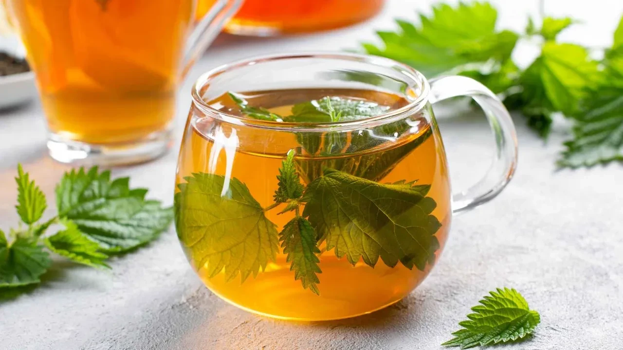 Bitkisi hastanelik ediyor! Çayı ciğerlerinizi tertemiz yapıyor