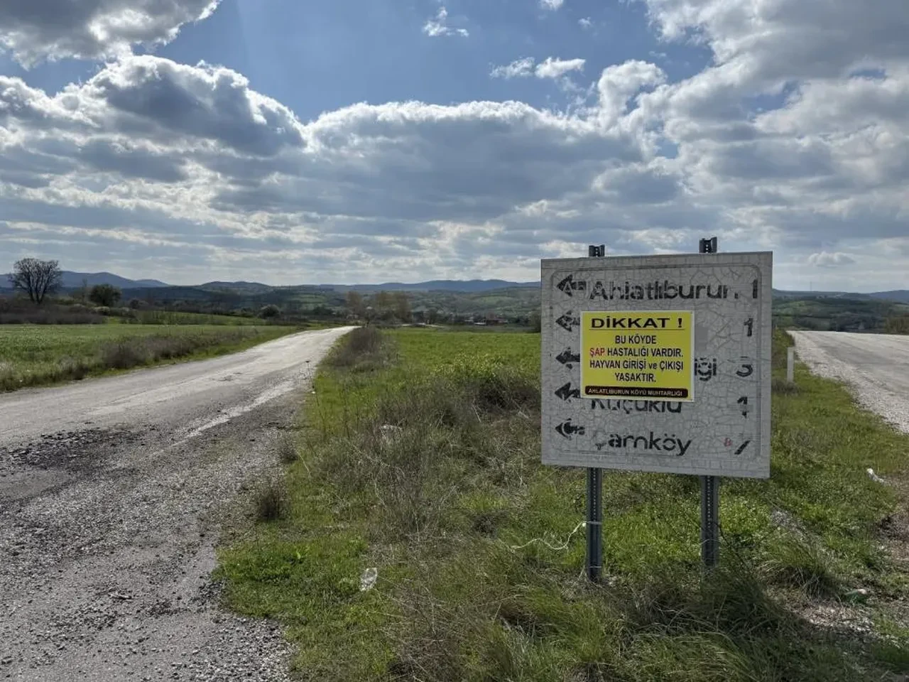 Çanakkale'de şap alarmı! Bölge karantinada: Giriş çıkışlar yasaklandı