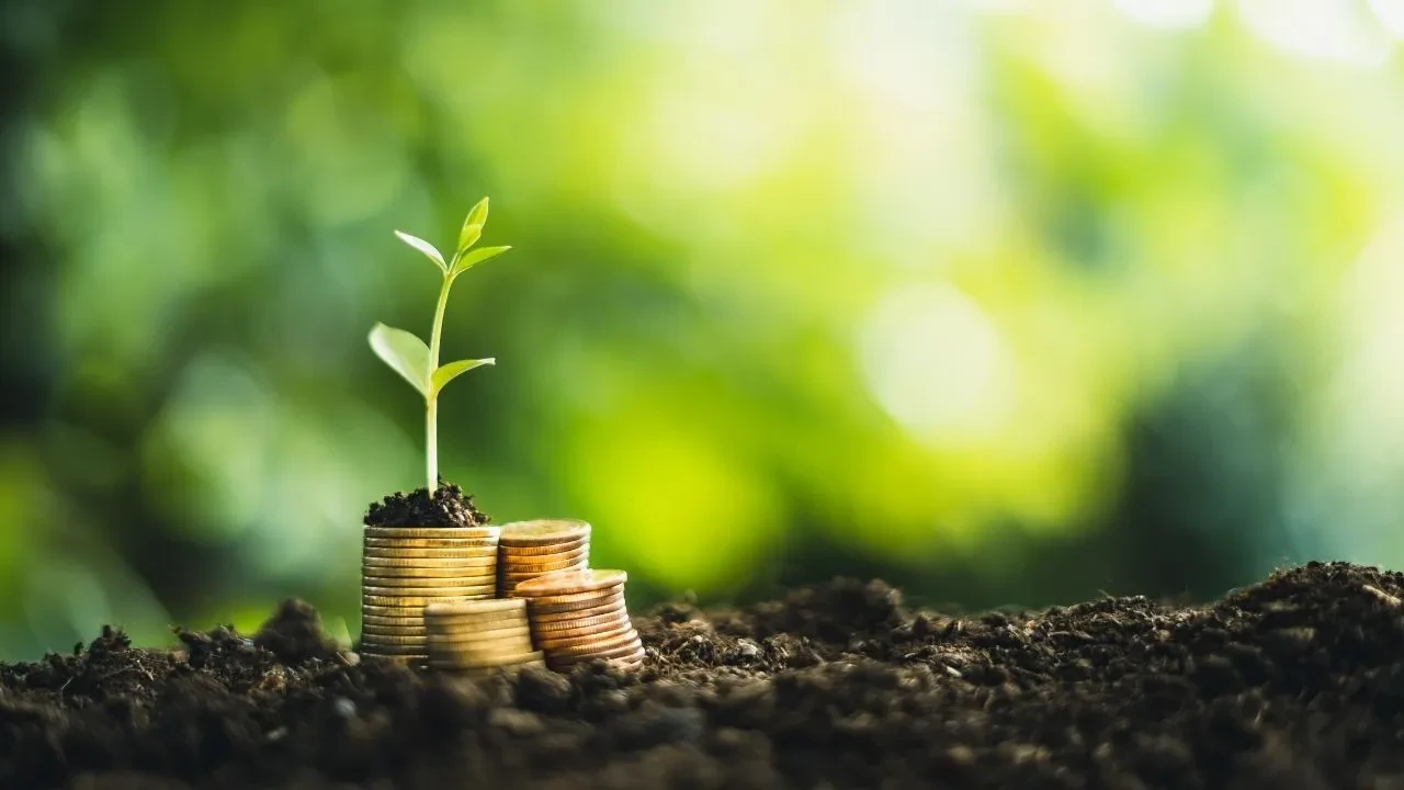 Bankaların yeni sınavı! Artık ne kadar yeşil olduklarını hesaplayacaklar