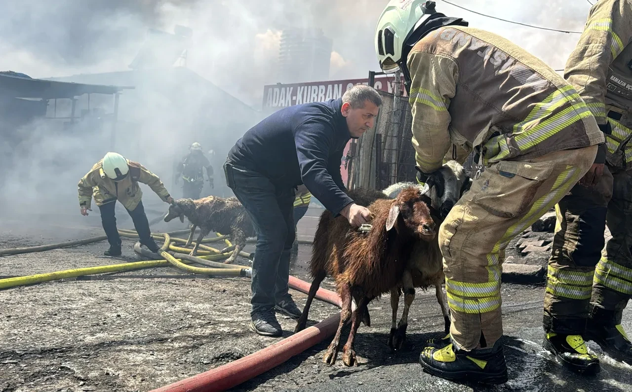 İkitelli'de kimya deposunda korkutan yangın! Araçlar küle döndü, kurbanlıklar telef oldu