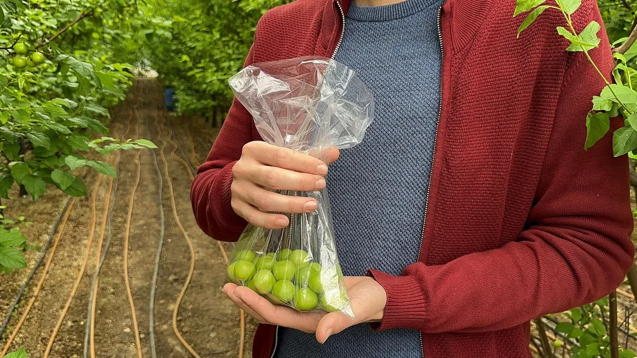 Kilosu 1800 TL'den satılıyor: Marketlerde yerini almaya başladı, fiyatı gören şok oldu