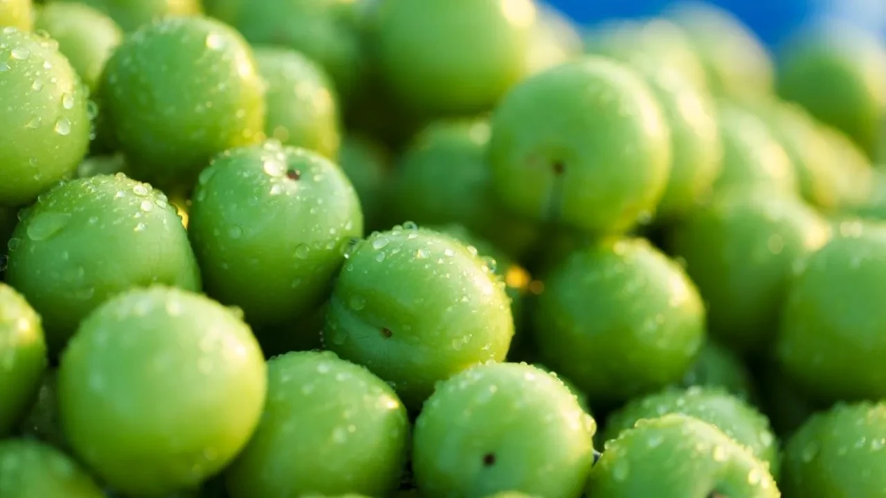 Kilosu 1800 TL'den satılıyor: Marketlerde yerini almaya başladı, fiyatı gören şok oldu