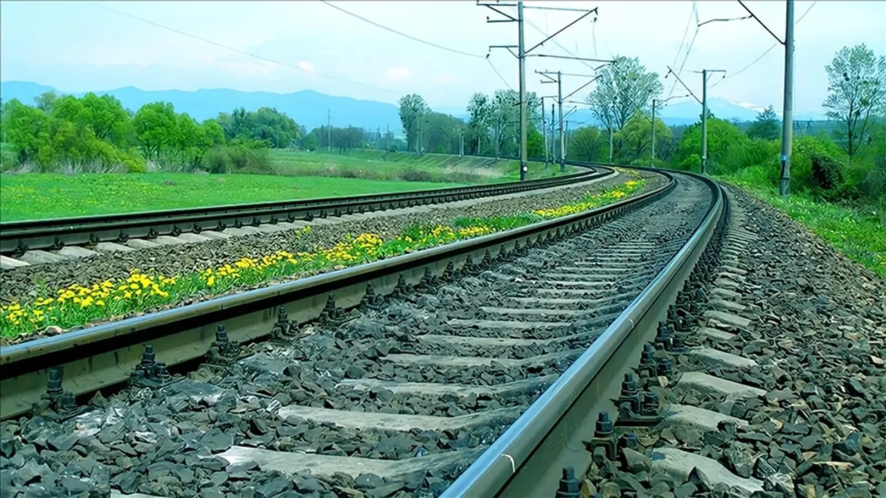 Ulaştırma ve Altyapı Bakanlığı yeni dönem için düğmeye bastı! Belge süresi artık 18 ay geçerli