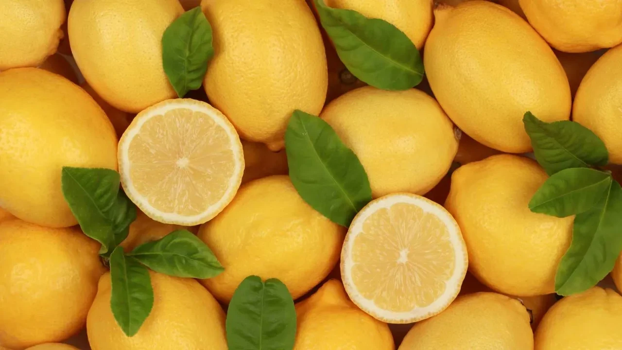 Zihin açıyor, hafızayı uçuruyor! Uzmanlar bu 3 besine "Zihin Dopingi" diyor