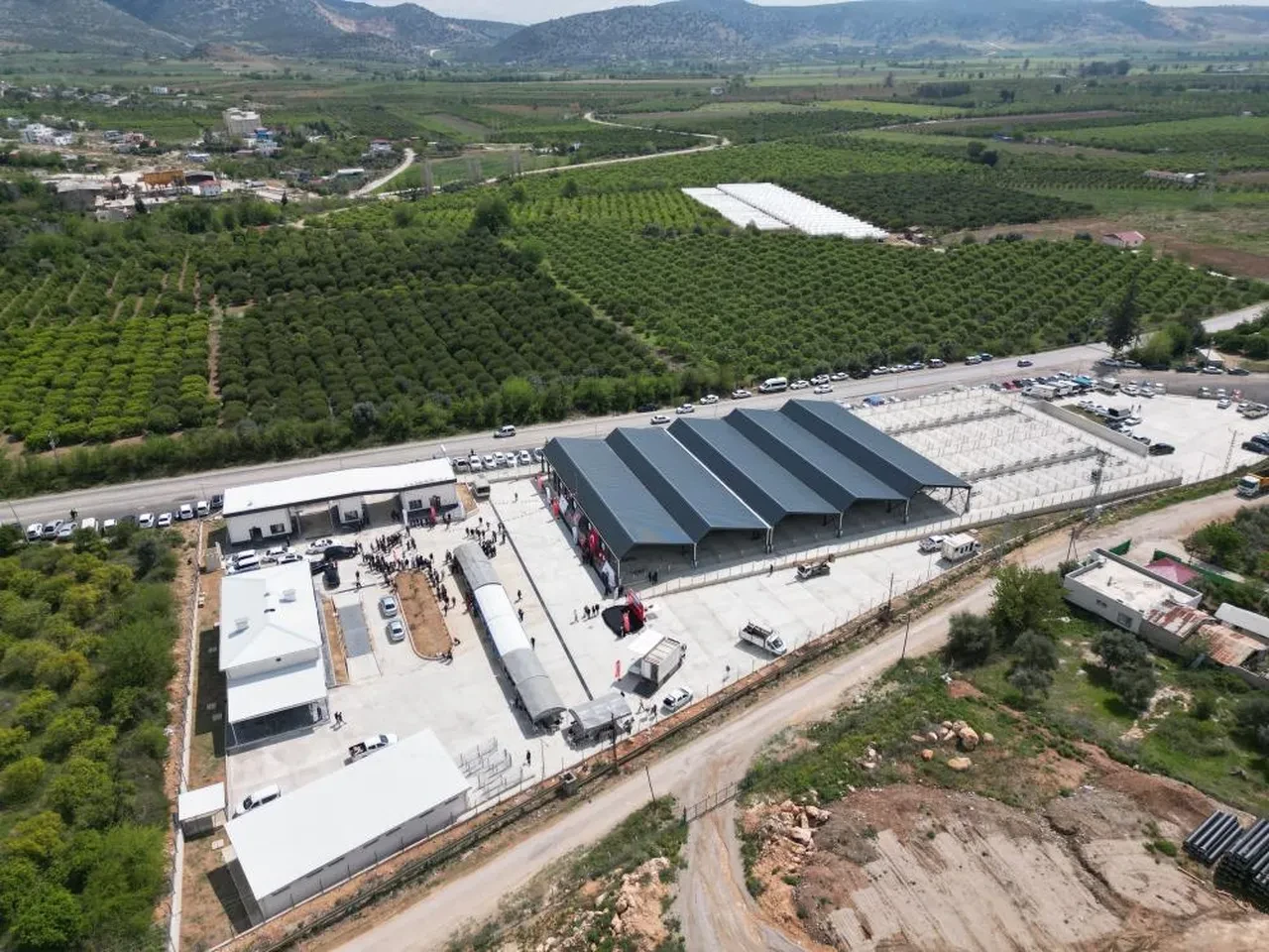 Adana'da kurban pazarı açıldı! Kıran kırana pazarlıkla ilk siftah yapıldı