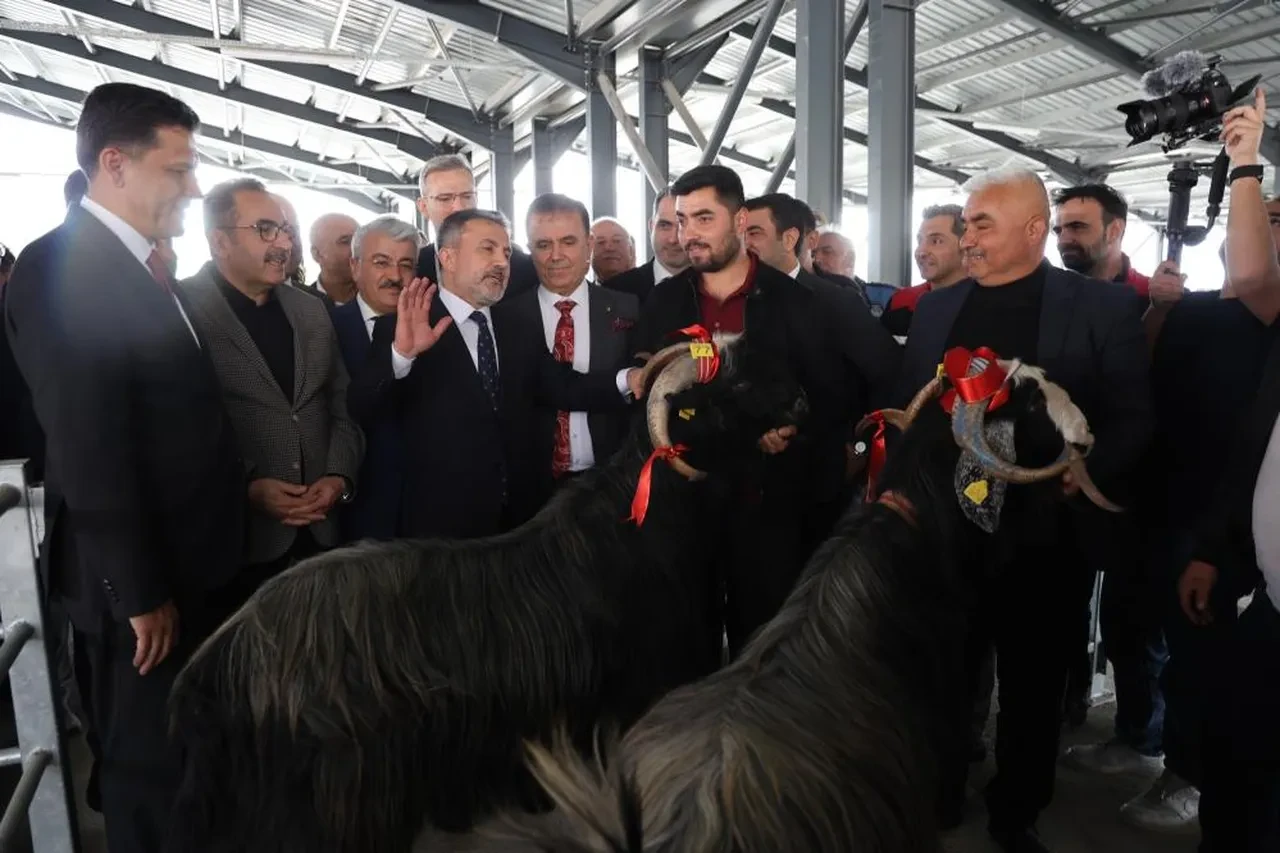 Adana'da kurban pazarı açıldı! Kıran kırana pazarlıkla ilk siftah yapıldı