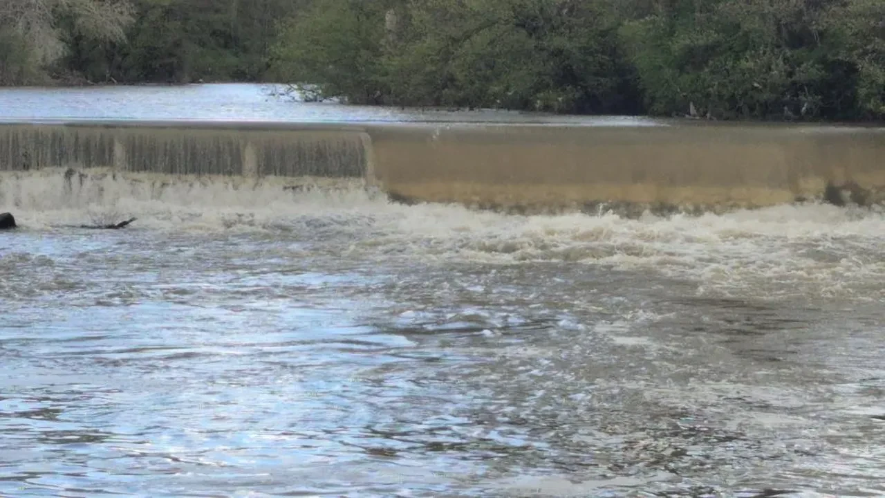 Bartın Irmağı'nda ilginç görüntü: Rengi değişti köpük korkuttu!