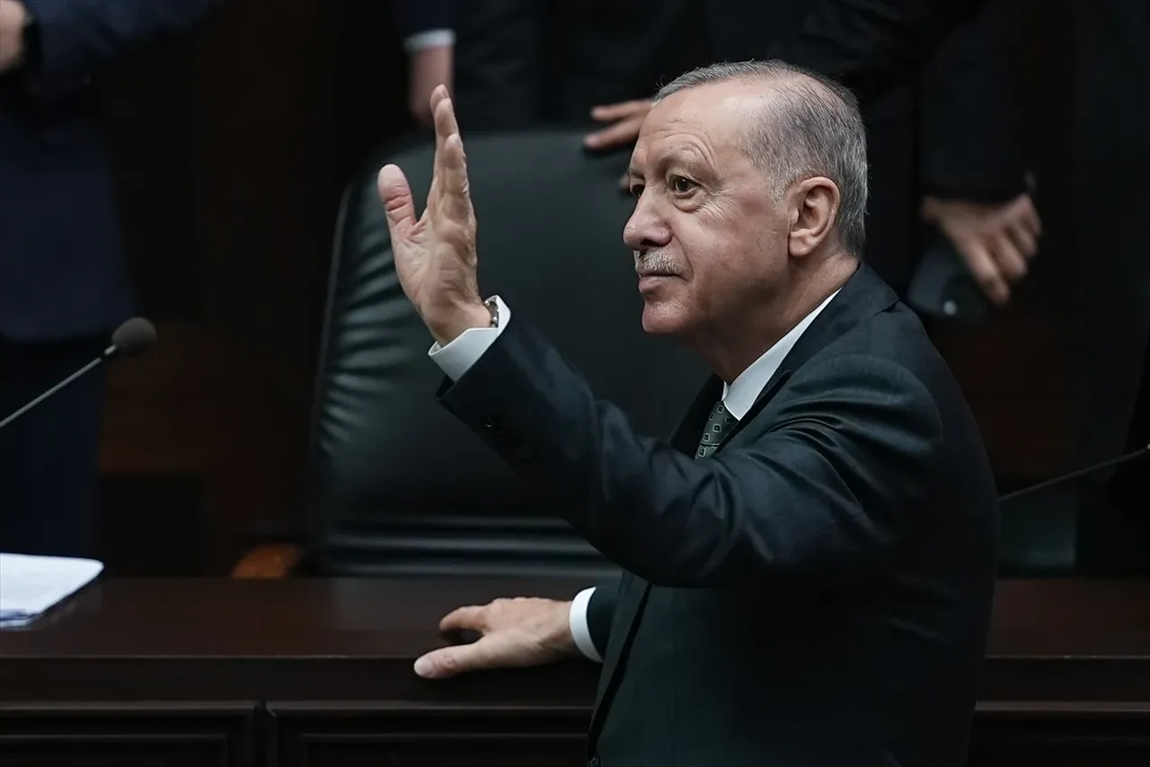 İsviçre basınından Cumhurbaşkanı Erdoğan'a övgü! 'Tarihe geçebilir' 
