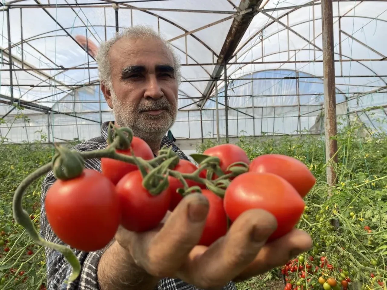 Tarlada 15 TL'ye sattığı ürün markette 70 TL! Çiftçi isyan etti: "Aradaki farkı kim yiyor?"