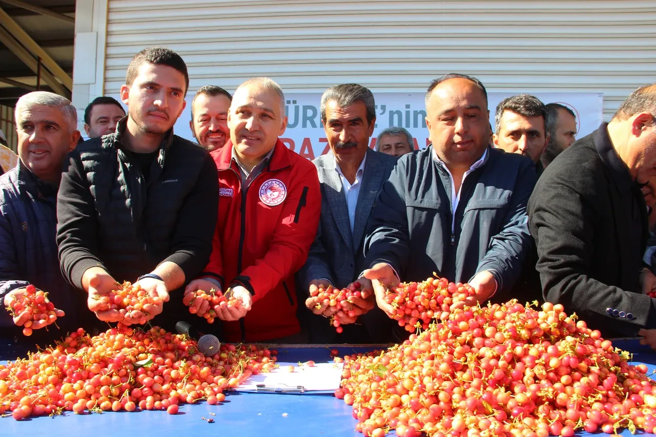 Kilosu 3 bin 500 TL'den satıldı! Birçok ülke Türkiye'nin kapısını çalıyor: İlk kirazda hasat heyecanı