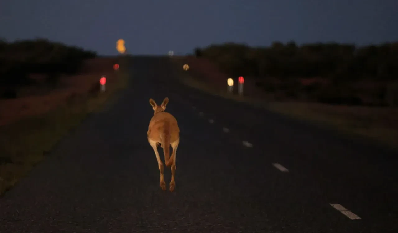Yol kenarındaki cihazları herkes 'hız kamerası' zannediyordu, gerçek bambaşka çıktı