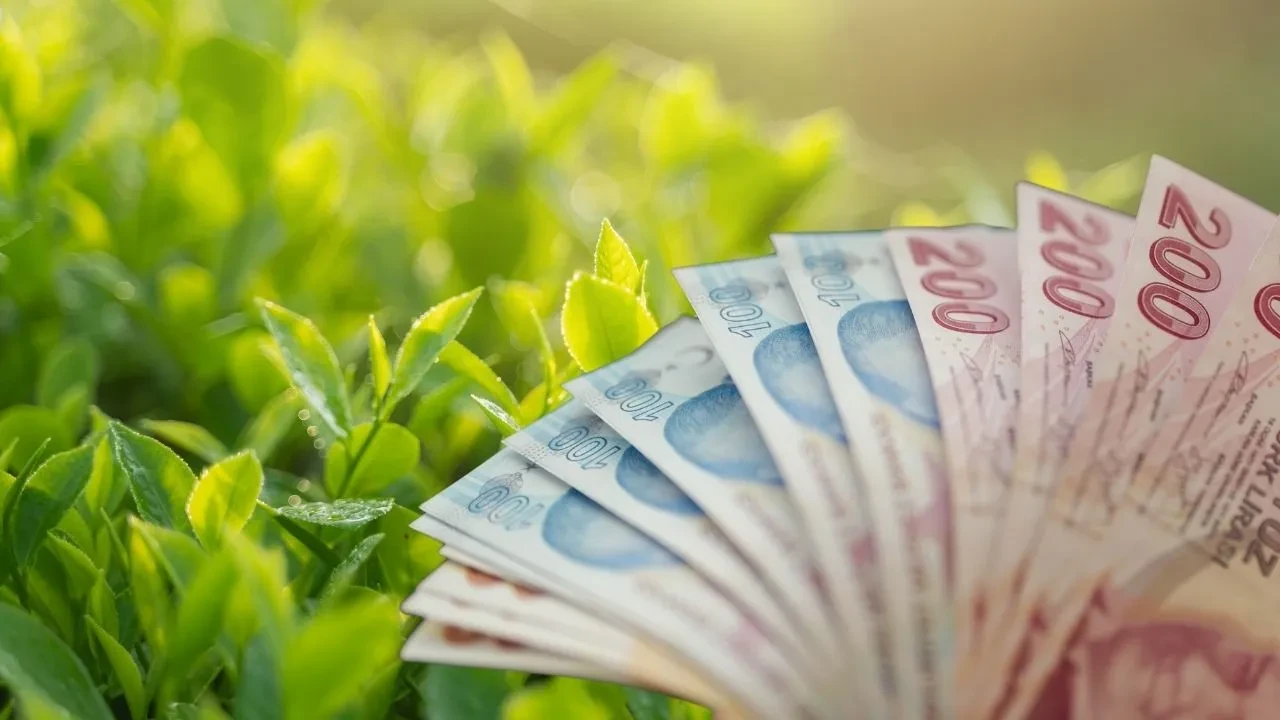 Ziraat Bankası’ndan sürpriz ödeme! Nakit paranız kapınızda olabilir: 30 günlük geri sayım