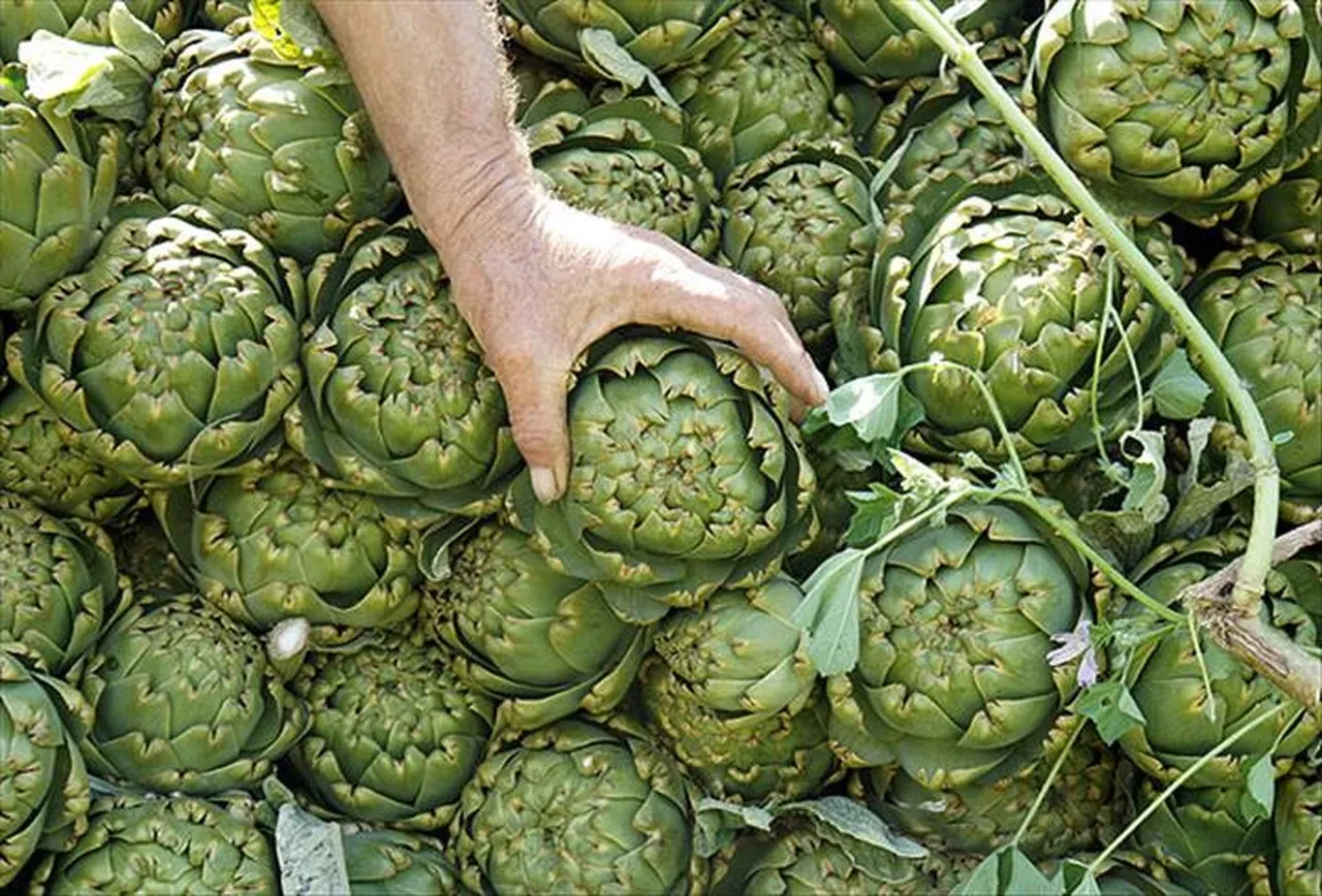 Aralıklı oruç diyeti yapanlar için 1600 yıllık Yunan tarifi! Karaciğer yeniden doğuyor