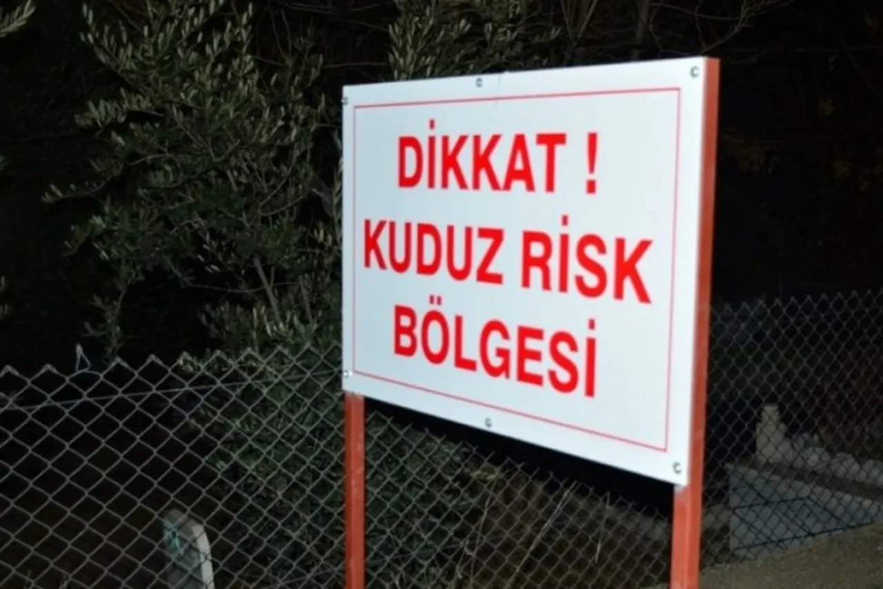 Bir ilimizde kuduz alarmı! Bölge karantinaya alındı
