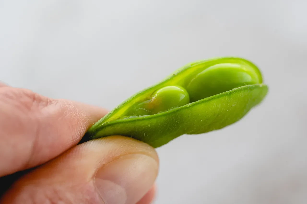 Her gün bir avuç edamame kalp krizi riskini düşürüyor
