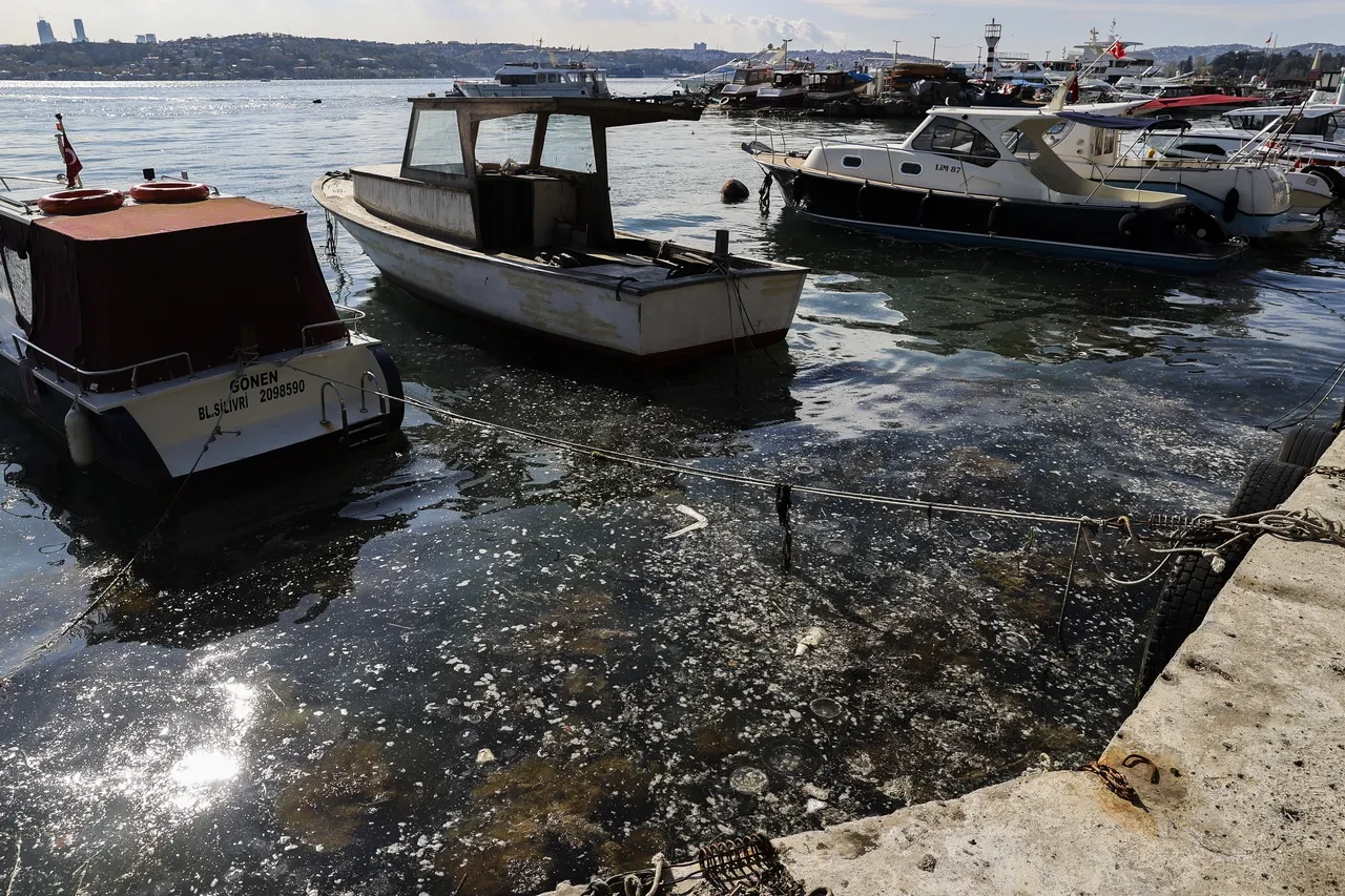 Müsilaj kabusu İstanbul'a geri döndü: 2 ilçenin kıyılarında tehlike!