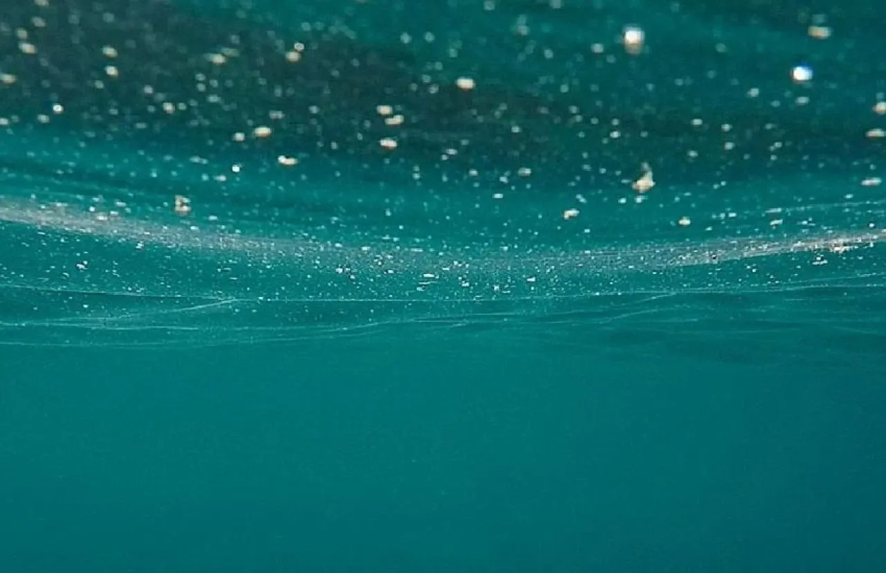 Okyanusların gizli geçmişi! Dünya'nın rengi değişmeye başladı