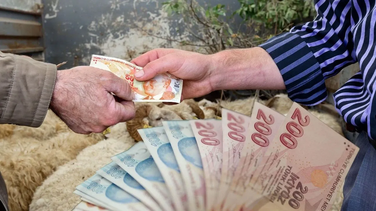 2025 yılı kurbanlık fiyatları için tablo netleşiyor! İşte hayvan pazarlarında son durum