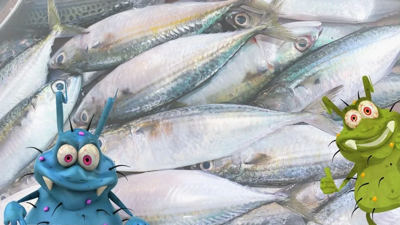 Balıklarda parazit riski: Görünmeyen tehlike! Uzman isimden dikkat çeken uyarı