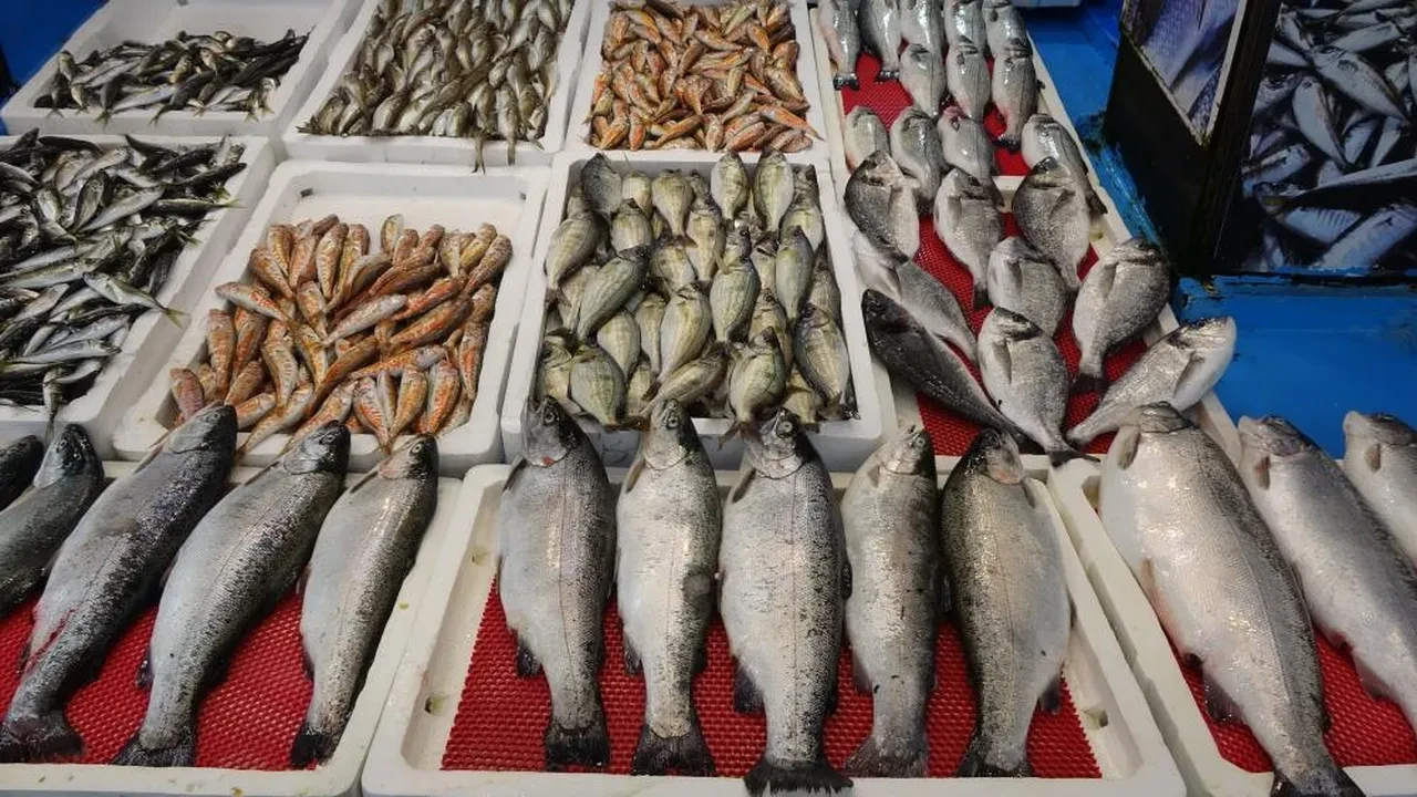 Balıkta av yasağı başladı! İşte artık tezgahta olacaklar!