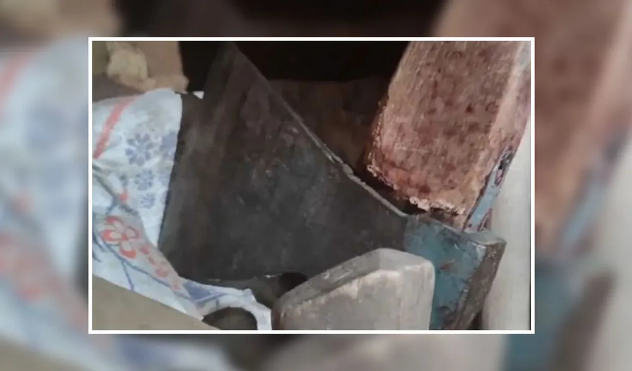 Çocuklarını bir bir baltayla katletti! Savunması kan dondurdu