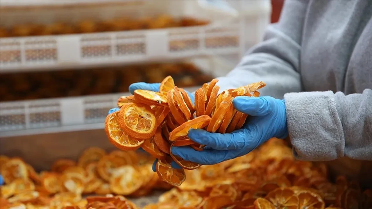 Diplomayı rafa kaldırıp baba mesleğine yöneldi! Kendi işinin patronu oldu: Şimdi kazancına yetişilmiyor