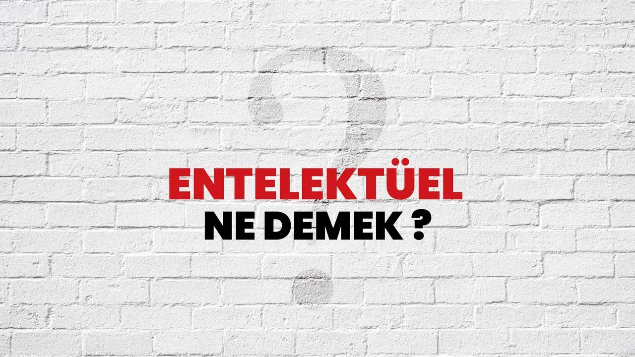 Entelektüel ne demek, ne anlama gelir? Entelektüel eş anlamlısı nedir ve kime denir?