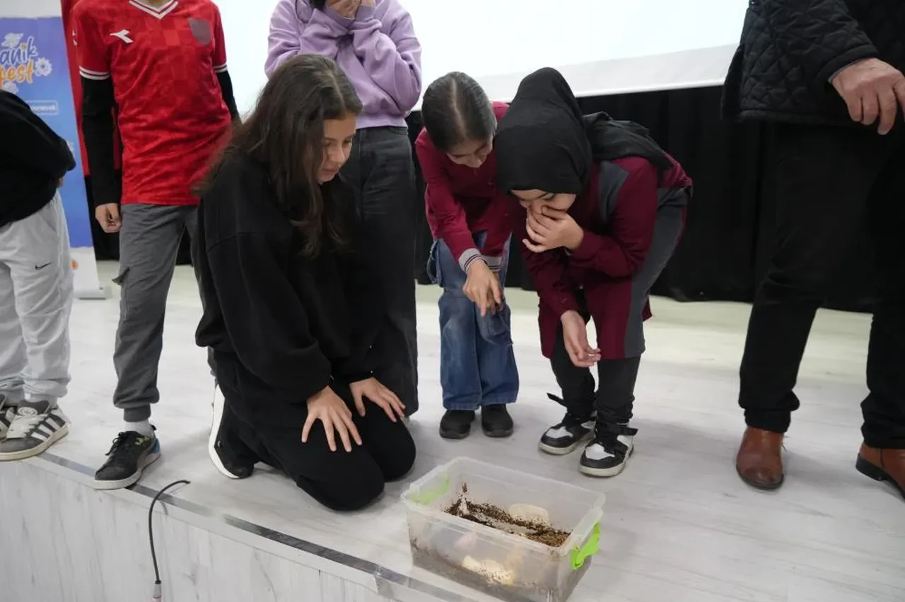 İnsanın geleceği bu böcekte! Yeni bir dönem başlayabilir