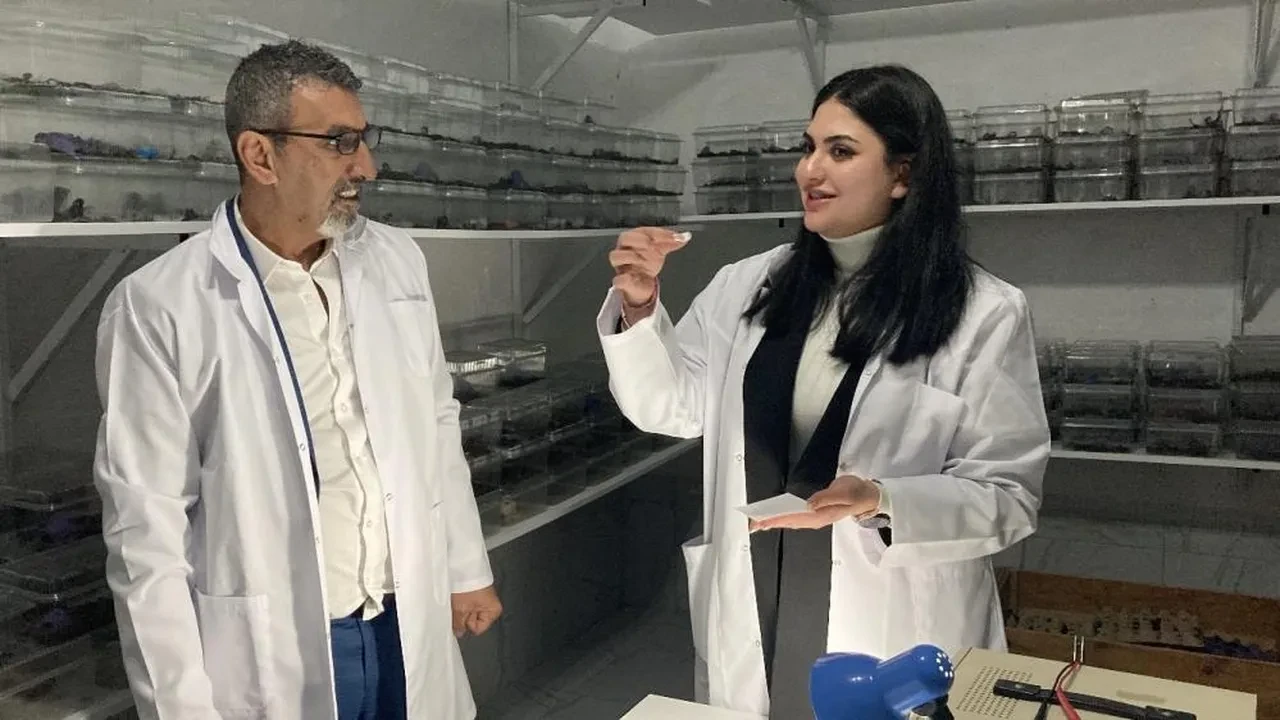 Verdiği kararla 3 bin akrebi bir odaya topladı! Zehrini böyle içiyor