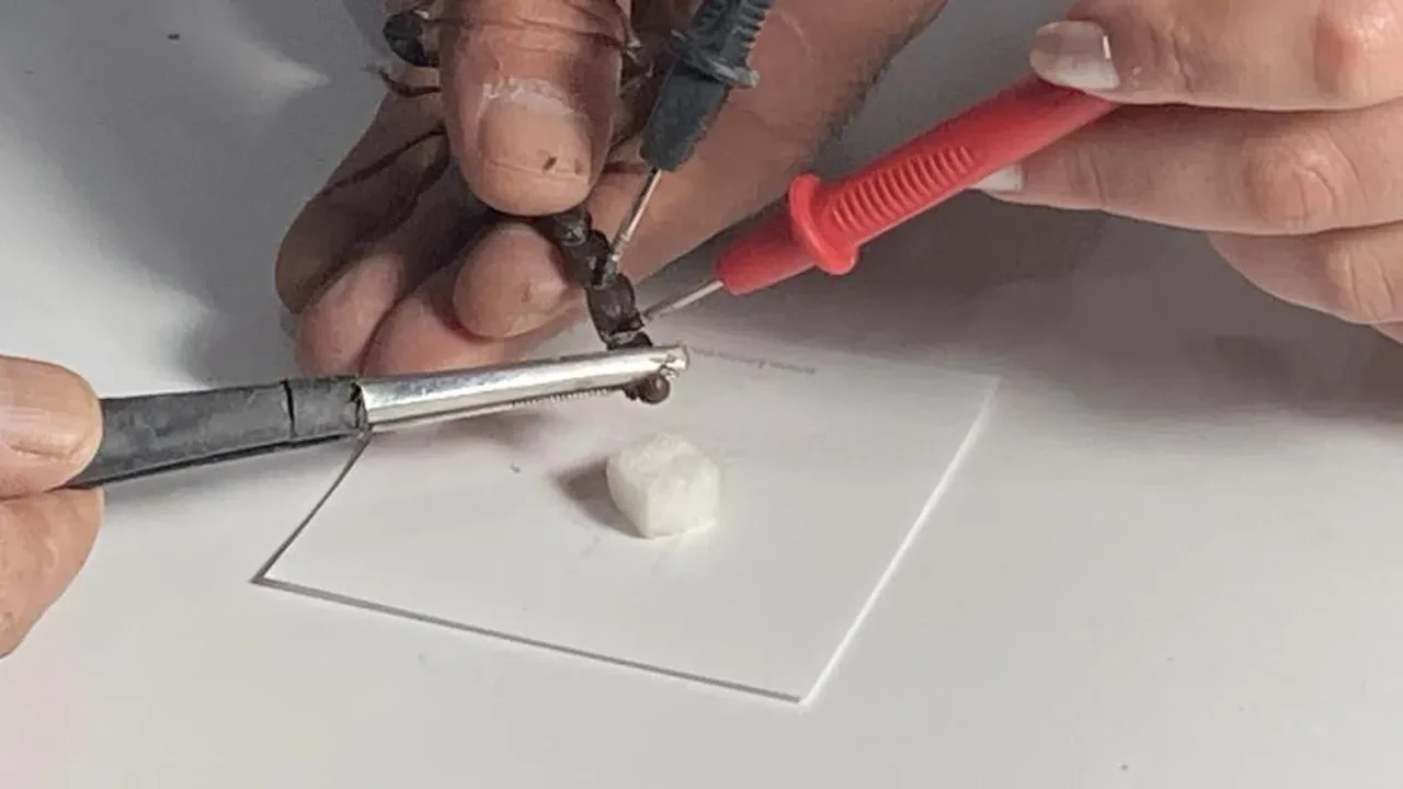 Verdiği kararla 3 bin akrebi bir odaya topladı! Zehrini böyle içiyor