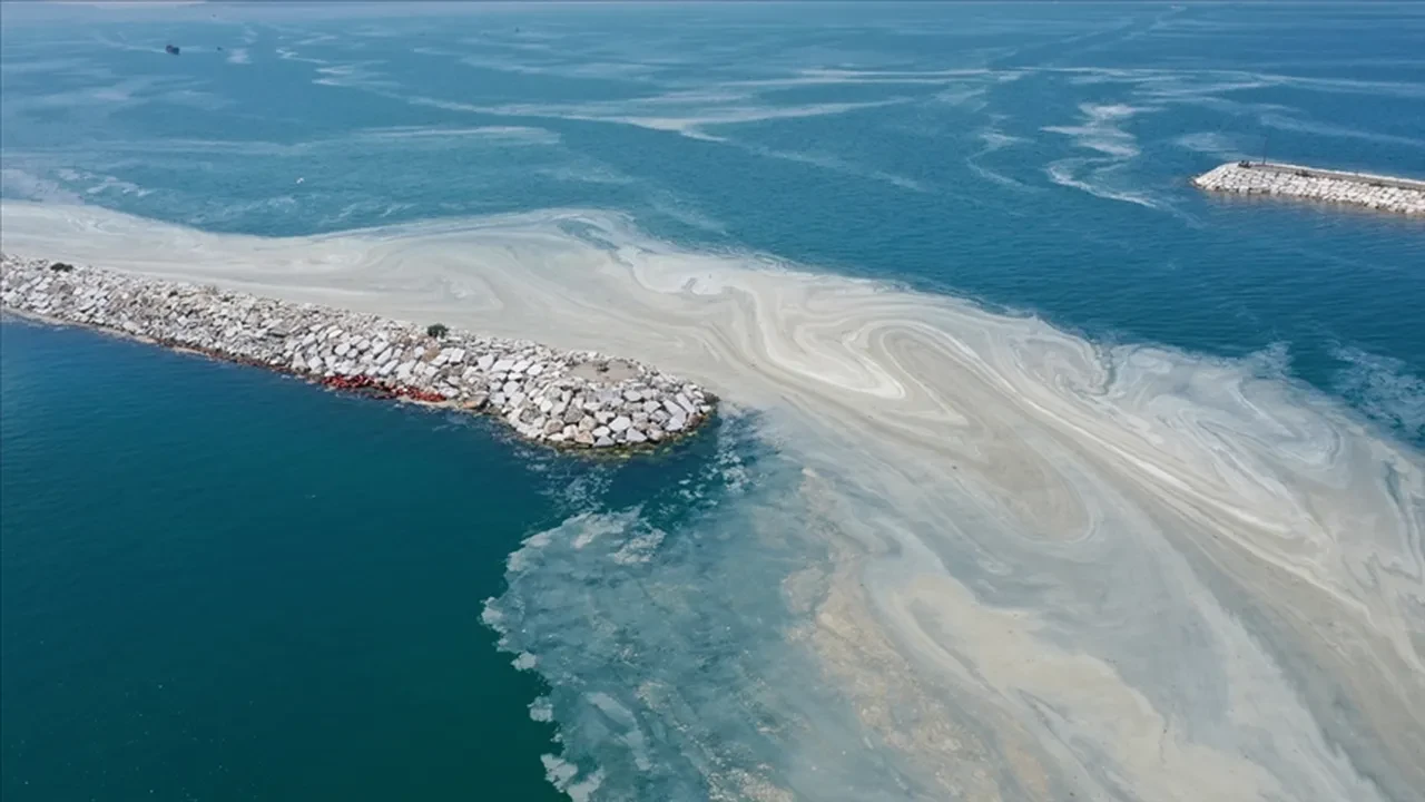 2021 kabusu geri dönüyor olabilir! Marmara Denizi tehlikede