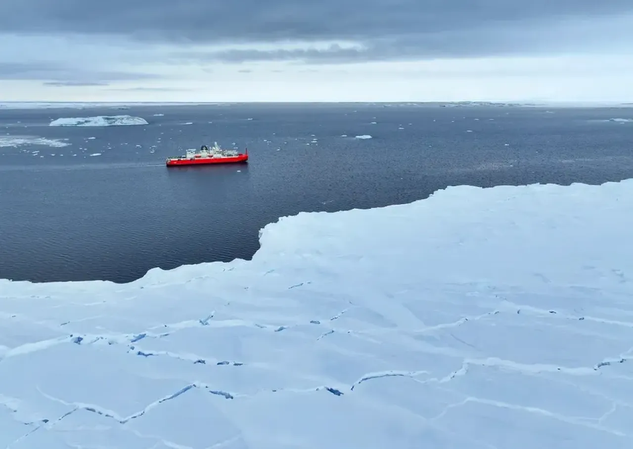 Buzkıran gemi deniz tabanından çıkardı: Antarktika'da su altındaki tuhaf canlılar