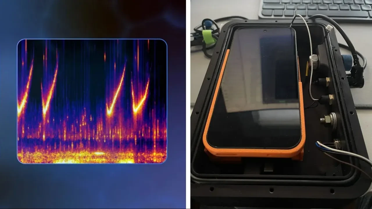 Hayvanlarla konuşmak mümkün oluyor! Google'ın yeni yapay zekası telefonlara indirilebilecek