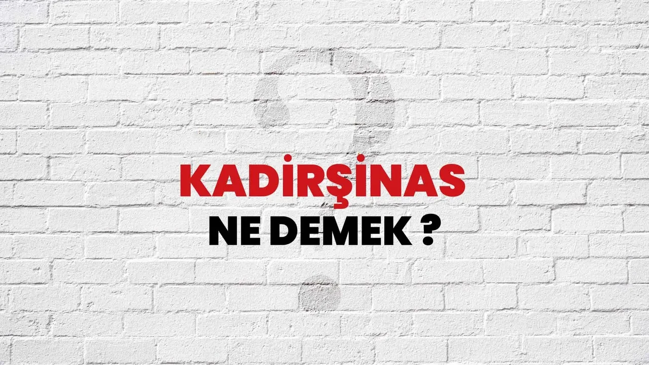 Kadirşinas ne demek, ne anlama gelir? Kadirşinas eş anlamlısı nedir ve neyi ifade eder?