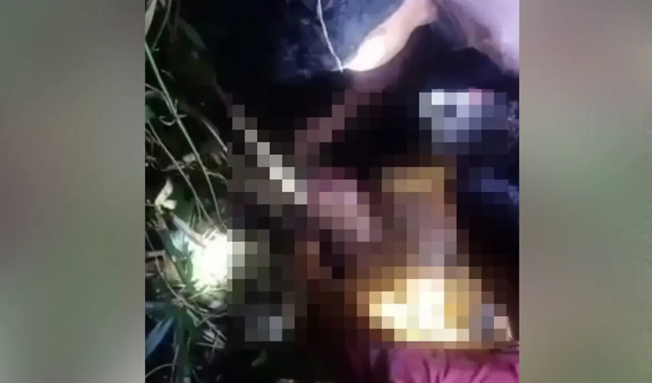 Kayıp kadın 7 metrelik pitonun ağzından çıkarıldı! Dehşete düşüren manzara