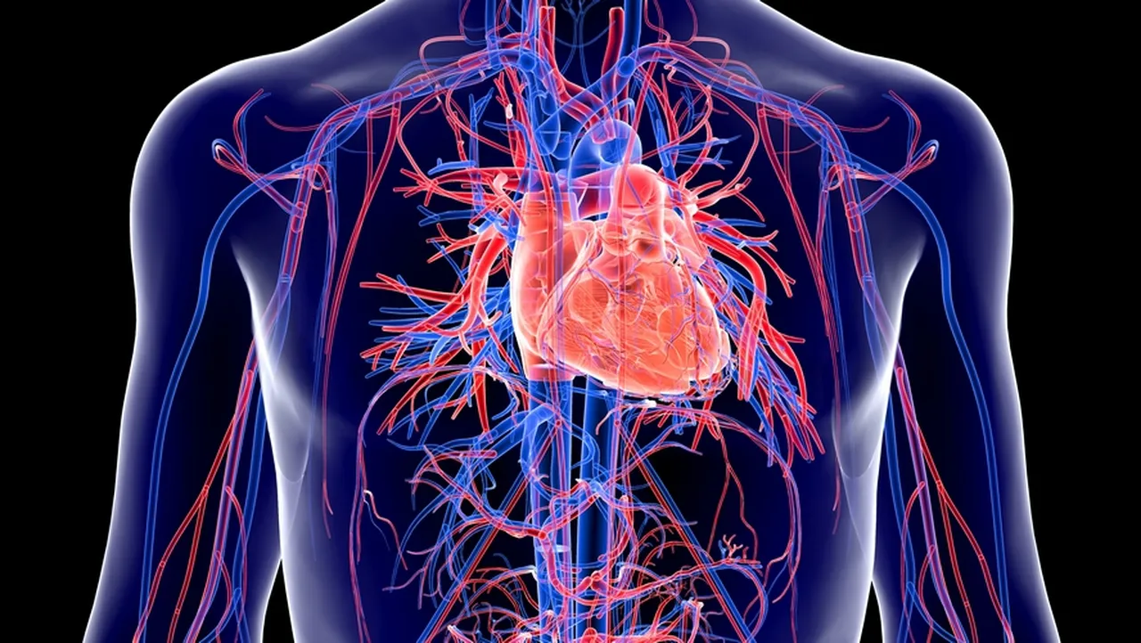 Sırrı Süreyya Önder'in doktoru konuştu! 'Ölümcül olabilir'