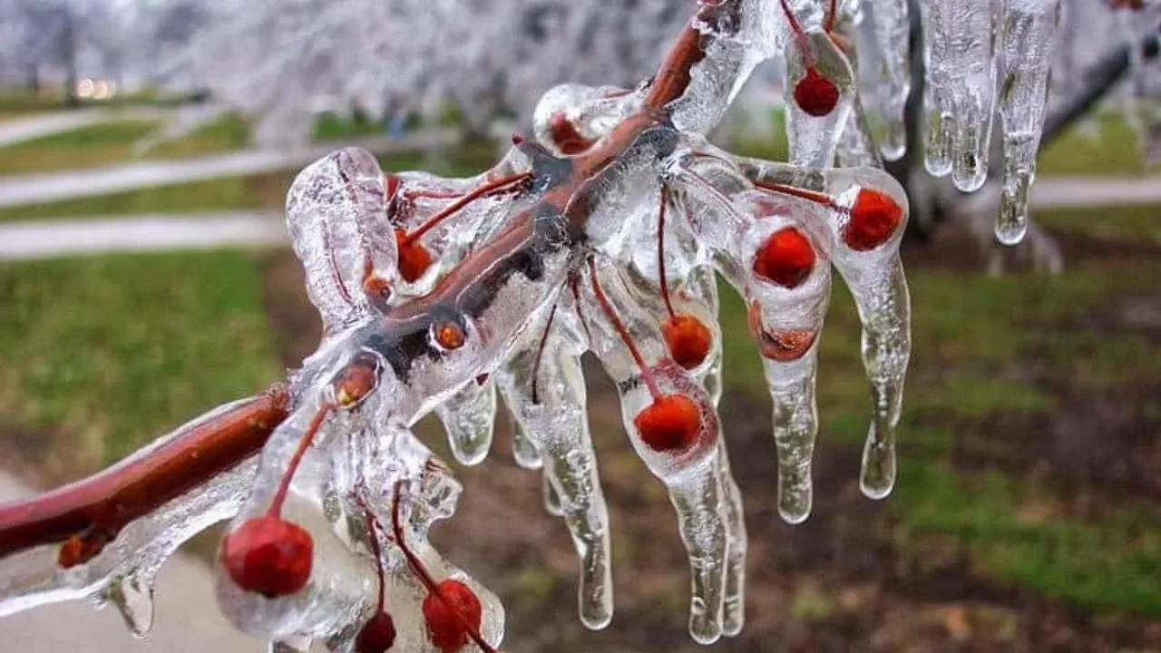 Zirai don desteği hangi illerde dağıtılacak? Bakanlık listeyi duyurdu