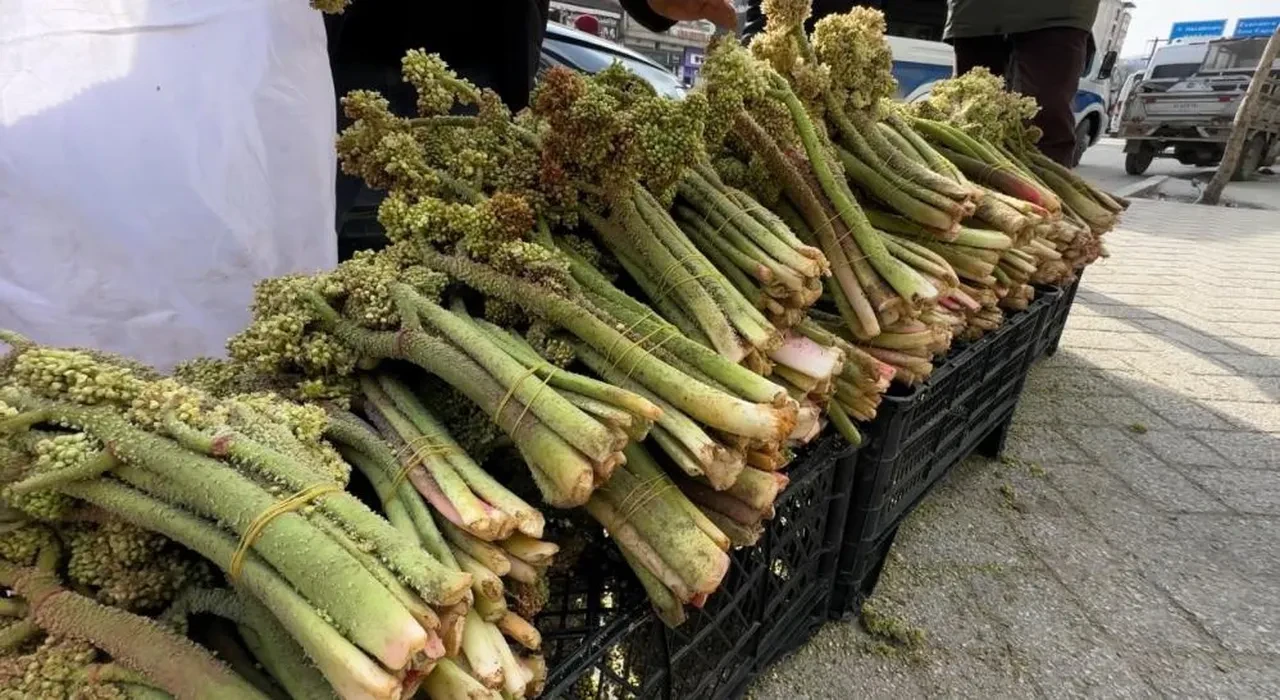 Birçok hastalığa iyi geliyor: Uçkun ya da yayla muzu olarak bilinen dağ lezzetinin fiyatı belli oldu!