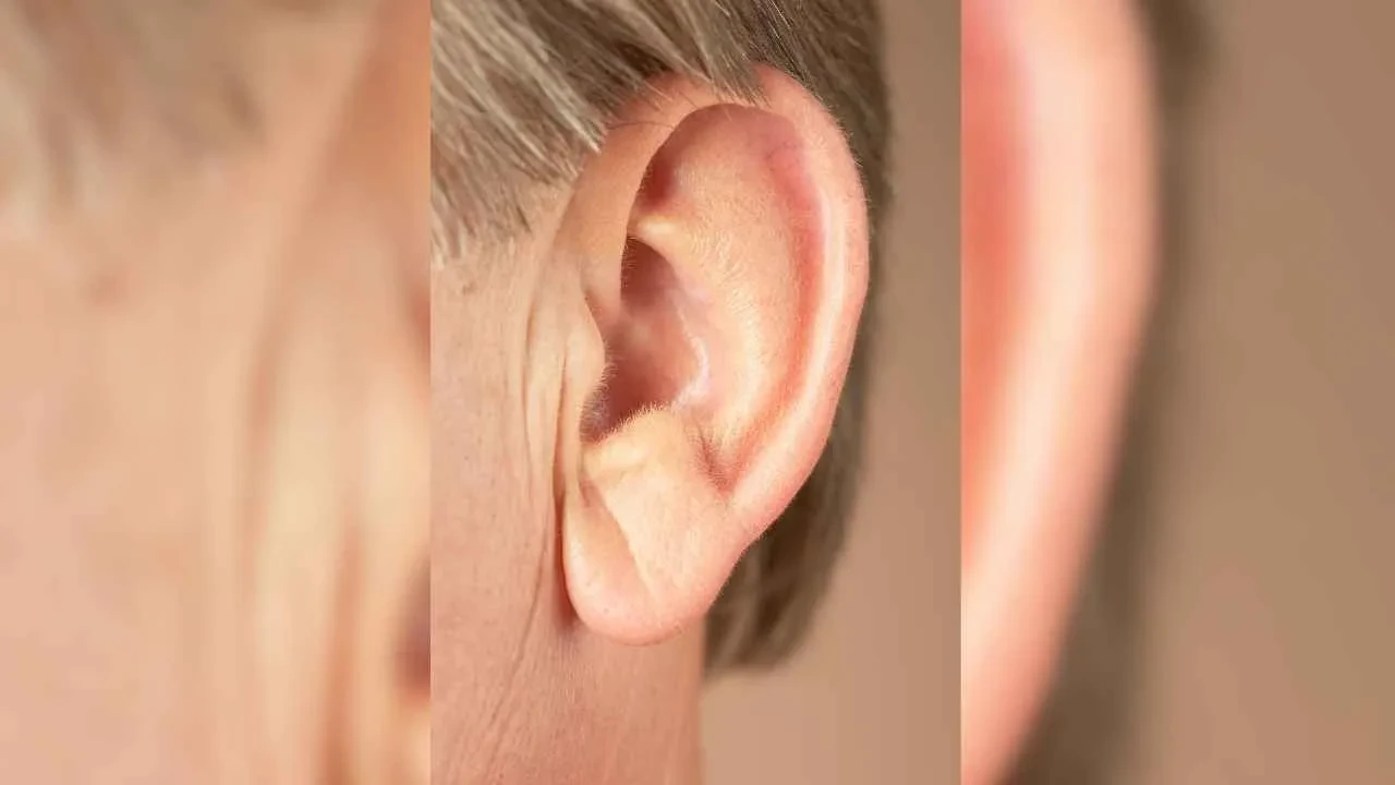 Kulağında bu çizgiye sahip olanlar dikkat! Doktorlar açıkladı: Vücudunuz alarm veriyor