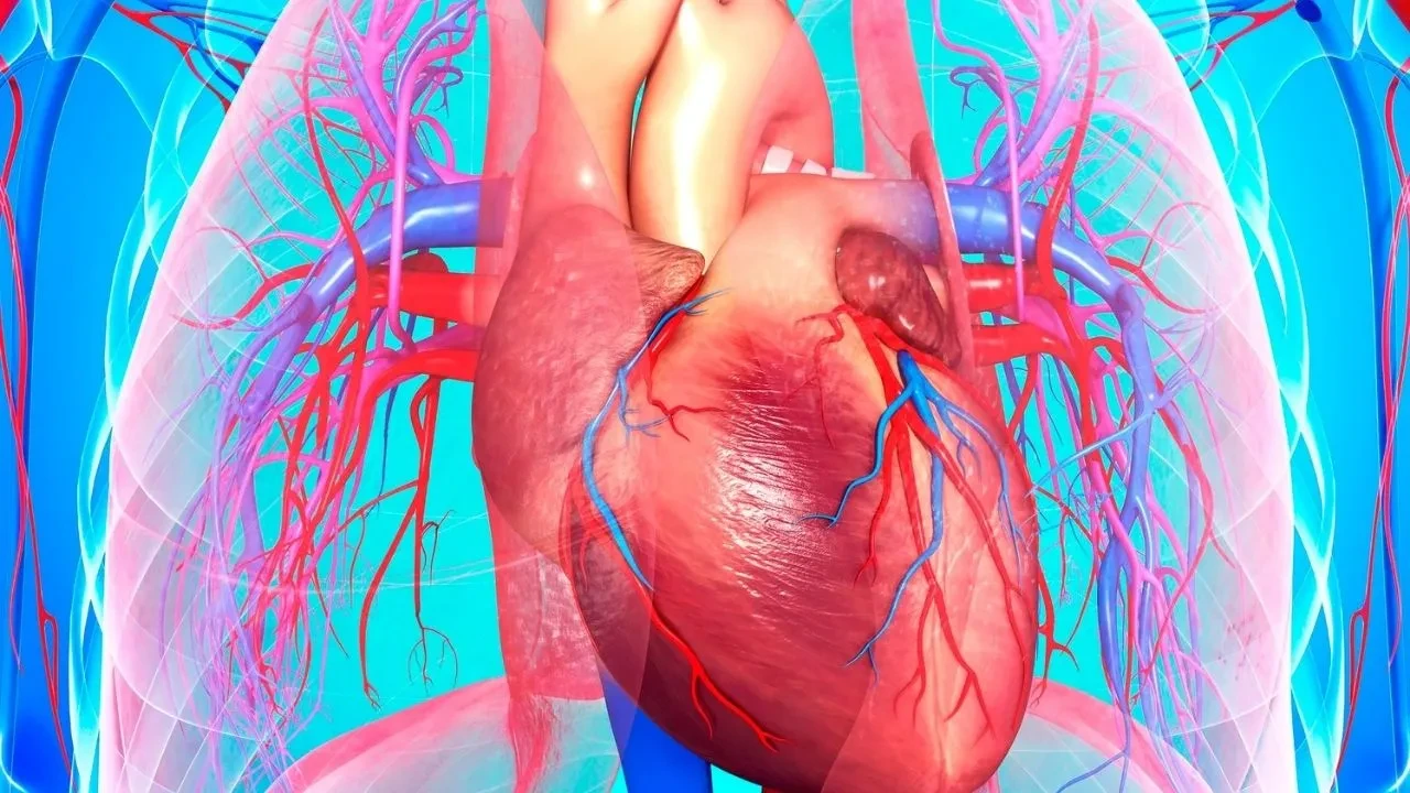 Kontrolsüz yüksek tansiyonunuz varsa bunlara dikkat! Uzman uyardı: Yılda bir kez bunu yapmalısınız