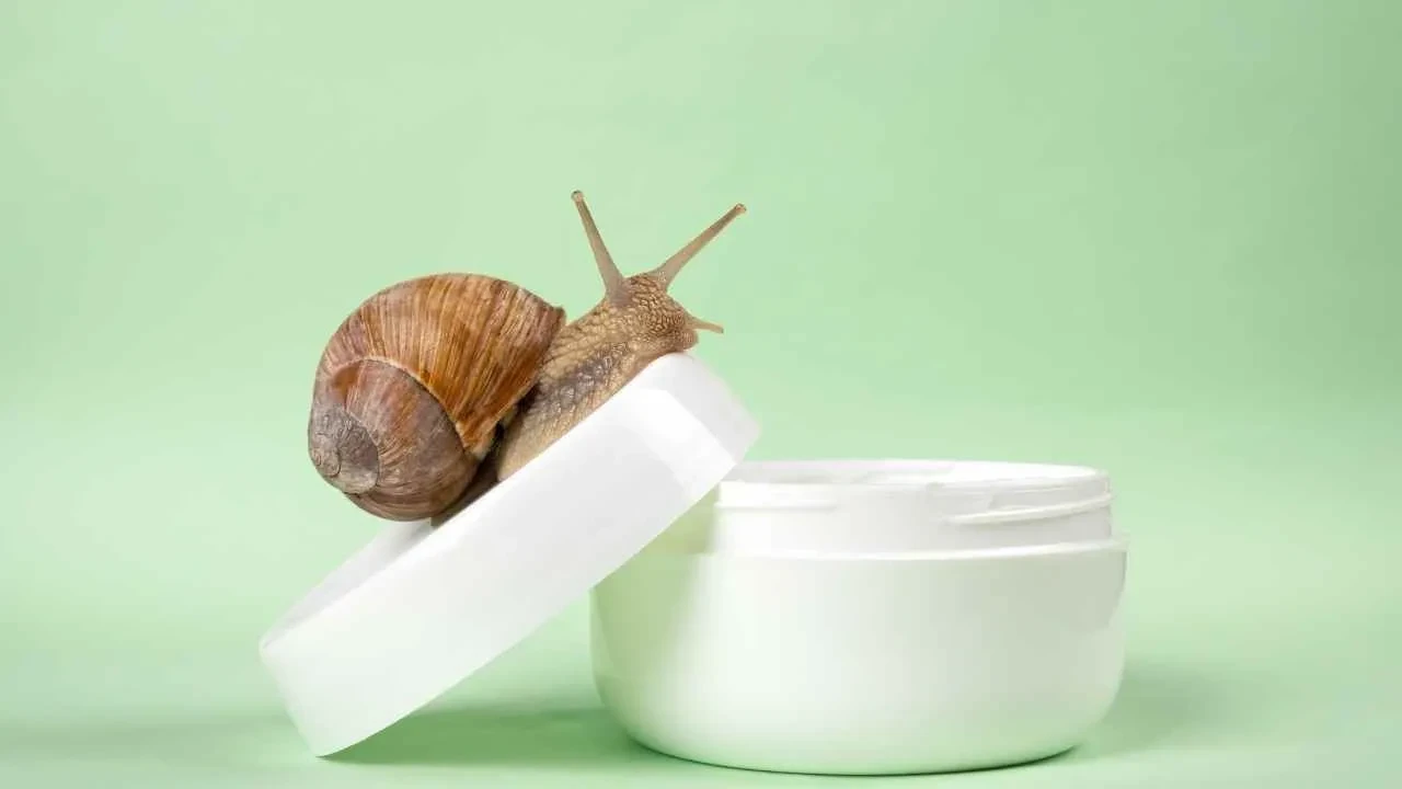 Korelilerin cam gibi ciltlerinin sırrı: Duyanların midesi bulanıyor, etkisi ile şaşırtıyor