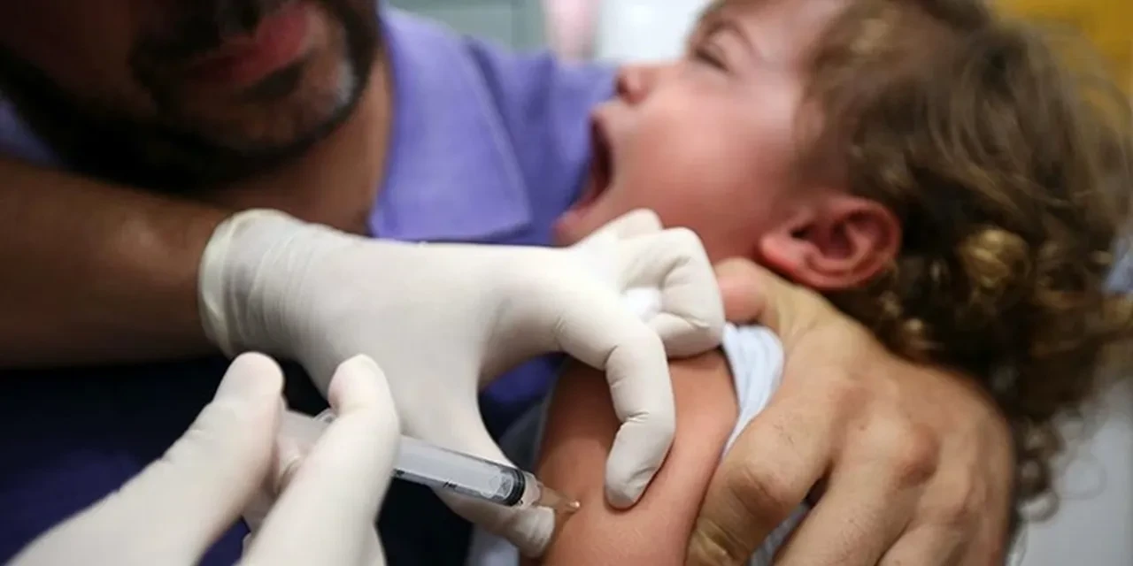 Sarıhumma nedir nasıl bulaşır? Bir ülkede acil durum ilan edildi