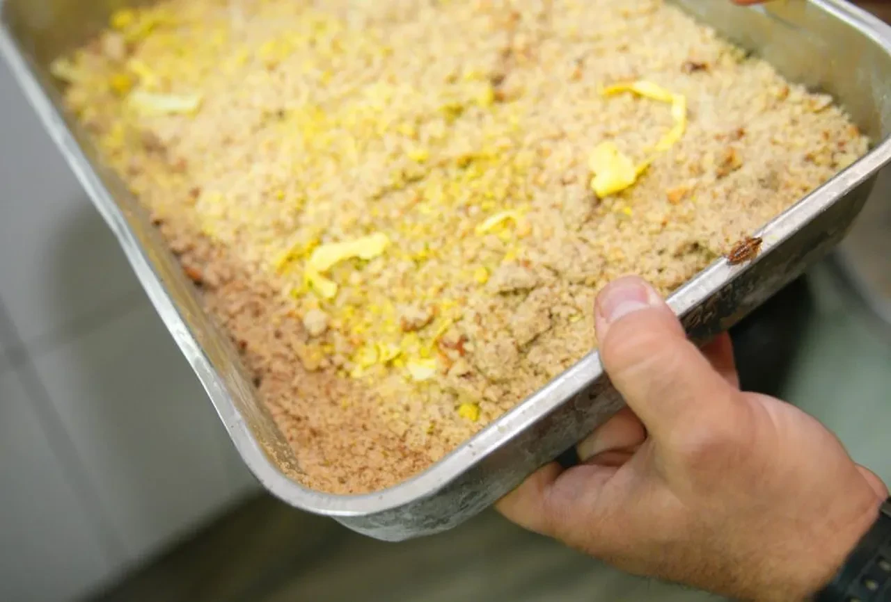 Tatlıcı mide bulandırdı! İşte böceklerin içinde üretime verilen ceza!