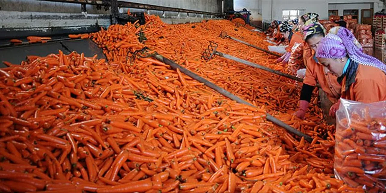 Diyet yapanlar dikkat! Sağlıklı olayım derken cildi turuncuya döndü