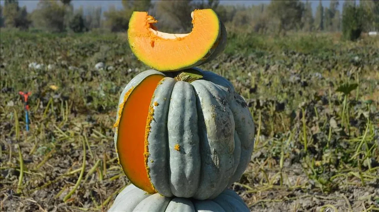 Diyet yapanlar dikkat! Sağlıklı olayım derken cildi turuncuya döndü