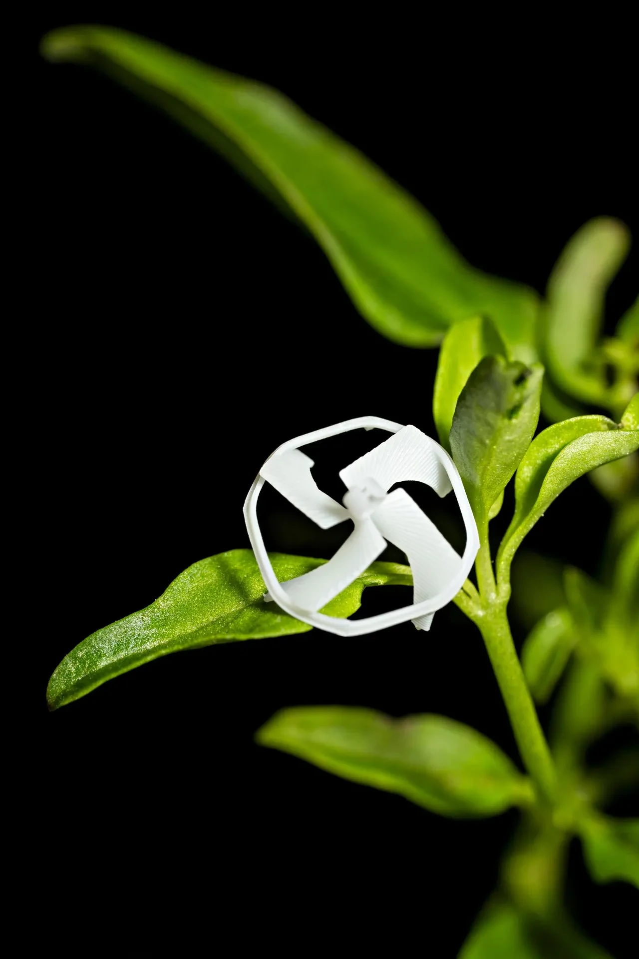 Dünyanın en küçük uçan robotunu ürettiler! Mercimek tanesi kadar